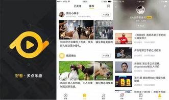 km短视频成人网站,内容解析与行业洞察