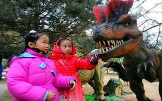 成人恐龙世界的视频,揭秘成人恐龙世界的奇幻之旅