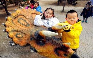 成人恐龙世界的视频,揭秘成人恐龙世界的奇幻之旅