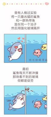 成人的睡前故事大全视频,精选成人睡前故事视频集锦