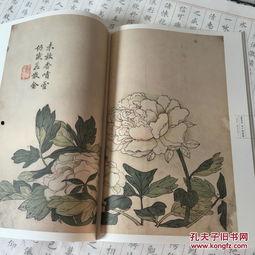 成人学国画花鸟视频教程,跟随视频学绘花鸟画技巧