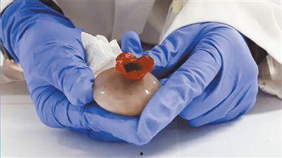 橡胶脚蹼成人怎么用视频,轻松掌握成人潜水技巧