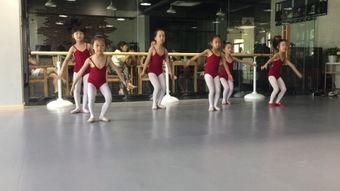 成人练高踢腿视频,跟随专业视频，轻松提升踢腿水平