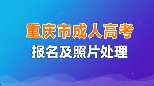 全国成人高考视频教学,高效学习指南