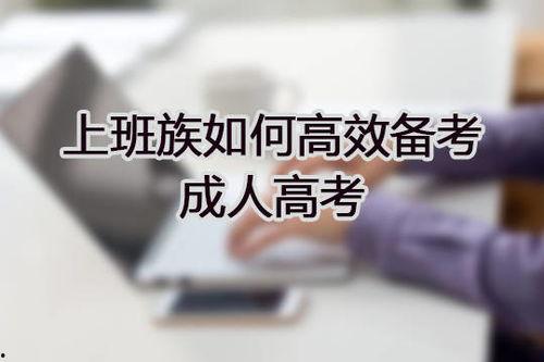 备考成人高考视频,成人高考备考视频精华解析与策略指导