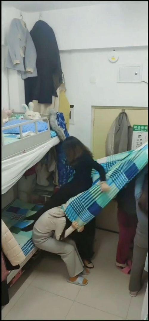 成人女性diy玩具视频,跟随DIY玩具视频,女性玩家打造专属创意玩具